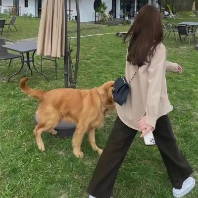战地花开